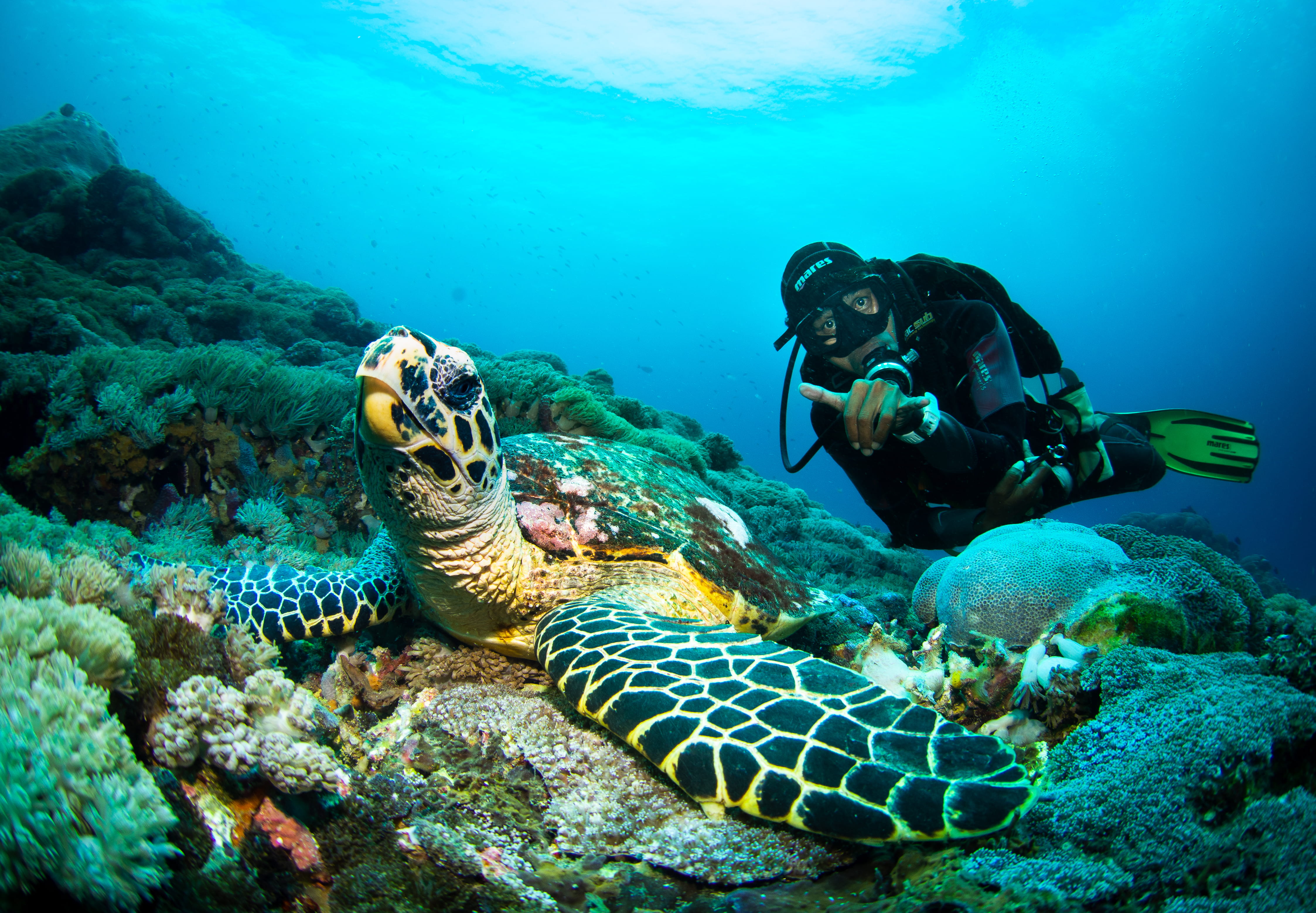 Diver photographing marine life in Nusa Penida